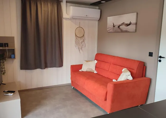 Alpesi faház Du Der Neuf Confort